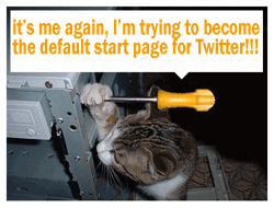 twittercat.png