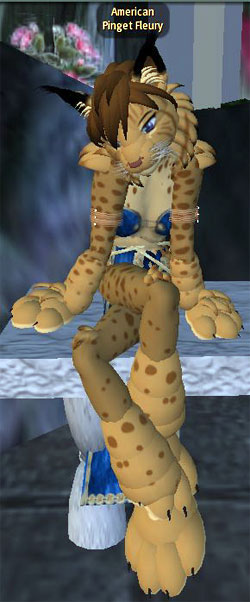 lynx_pinget_10.jpg