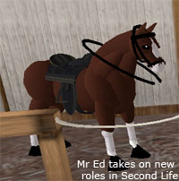 mred.jpg