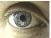 eyeball.jpg