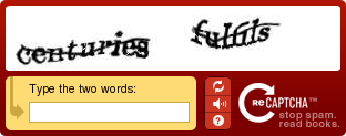 recaptchawidget.png