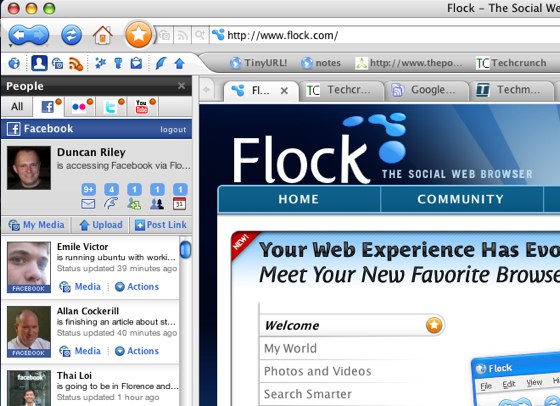 flock1.jpg