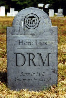 drm-burn-in-hell-729666.jpg