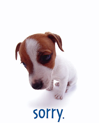 1155-1374sorry-posters.jpg