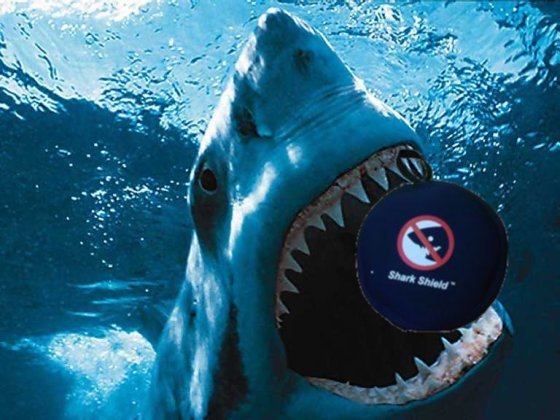 great-white-shark-picture-014.jpg