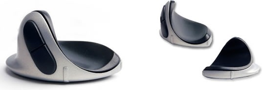 mouse
