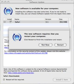 safari.jpg