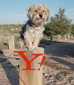 fencesitting.jpg