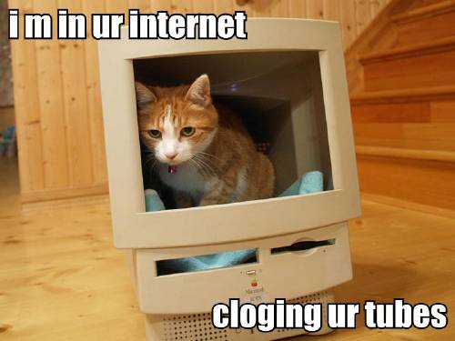 i m in ur internet cloging ur tubes
