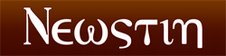 newstin logo