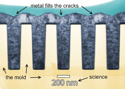 SCIENCE