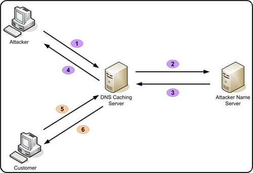 dns