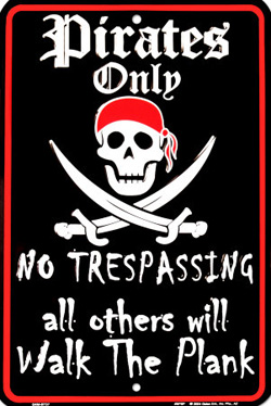 piracystudy