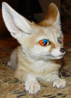 fennec