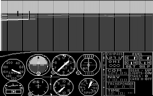flightsim1