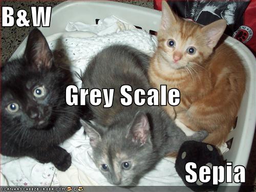 lolcat colors