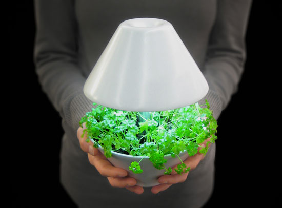 lamp02