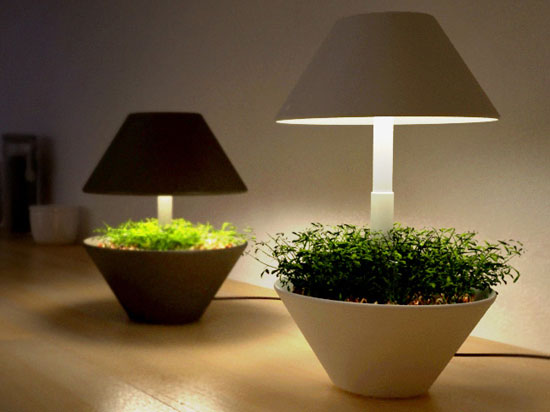 lamp03