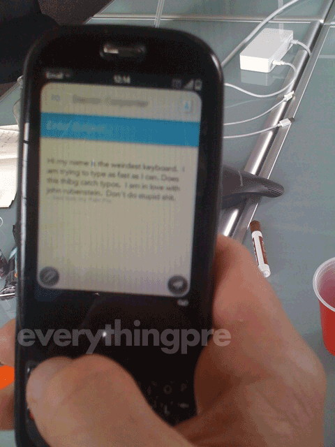 palmpre-wild-email