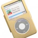 goldcase1