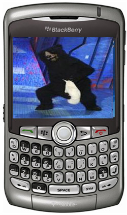 mbear