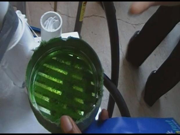 biofilm