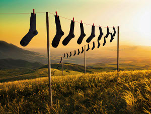 blacksocks