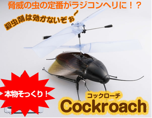 cockroach