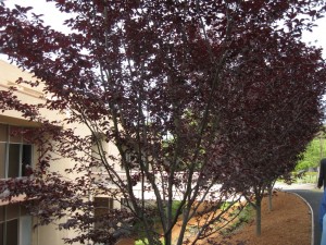 img_4120
