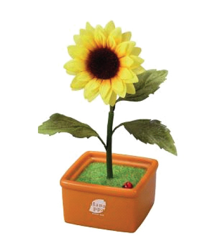 sunflower_sega_hanappa