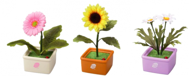 sunflower_sega_hanappa_2