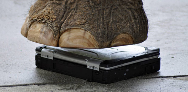toughbook-zoo