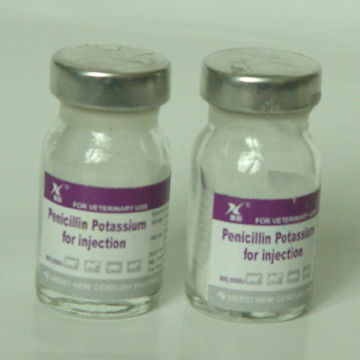 20084311224534269
