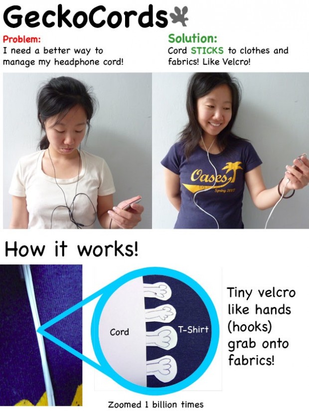 scaledgeckocords