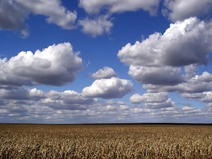 6324973_eb3781e841