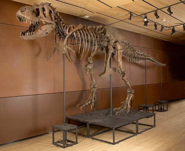 dinoauction