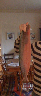 swedishfish21