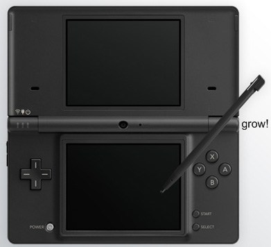 dsi