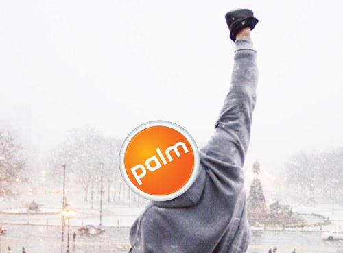 palmrocky