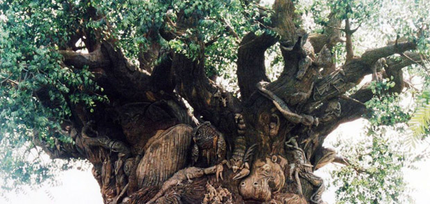 tree