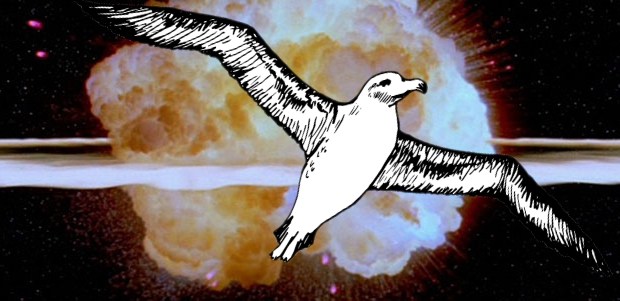 albatross