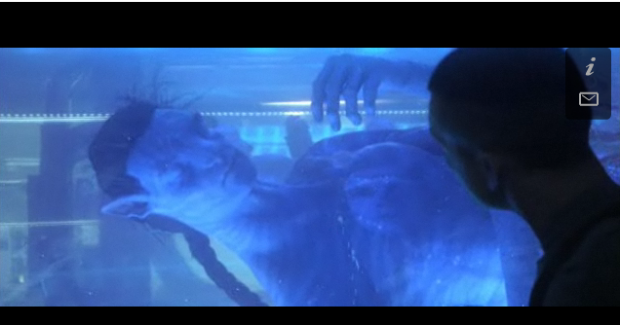 avatar_trailer