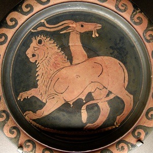 chimaera