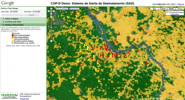 deforestationgoog1