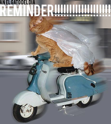 reminder