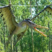 Cearadactylus atrox
