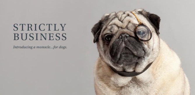 WarbyBarker_dogocle