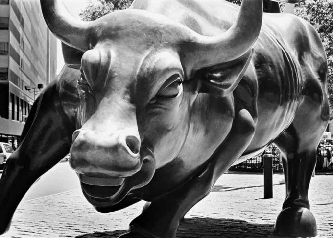 Wall-Street-Bull