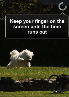 Messages Self-Destruct When Timer Expires