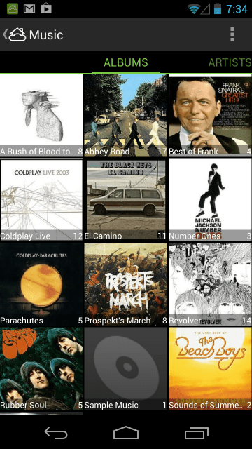 Music Section
